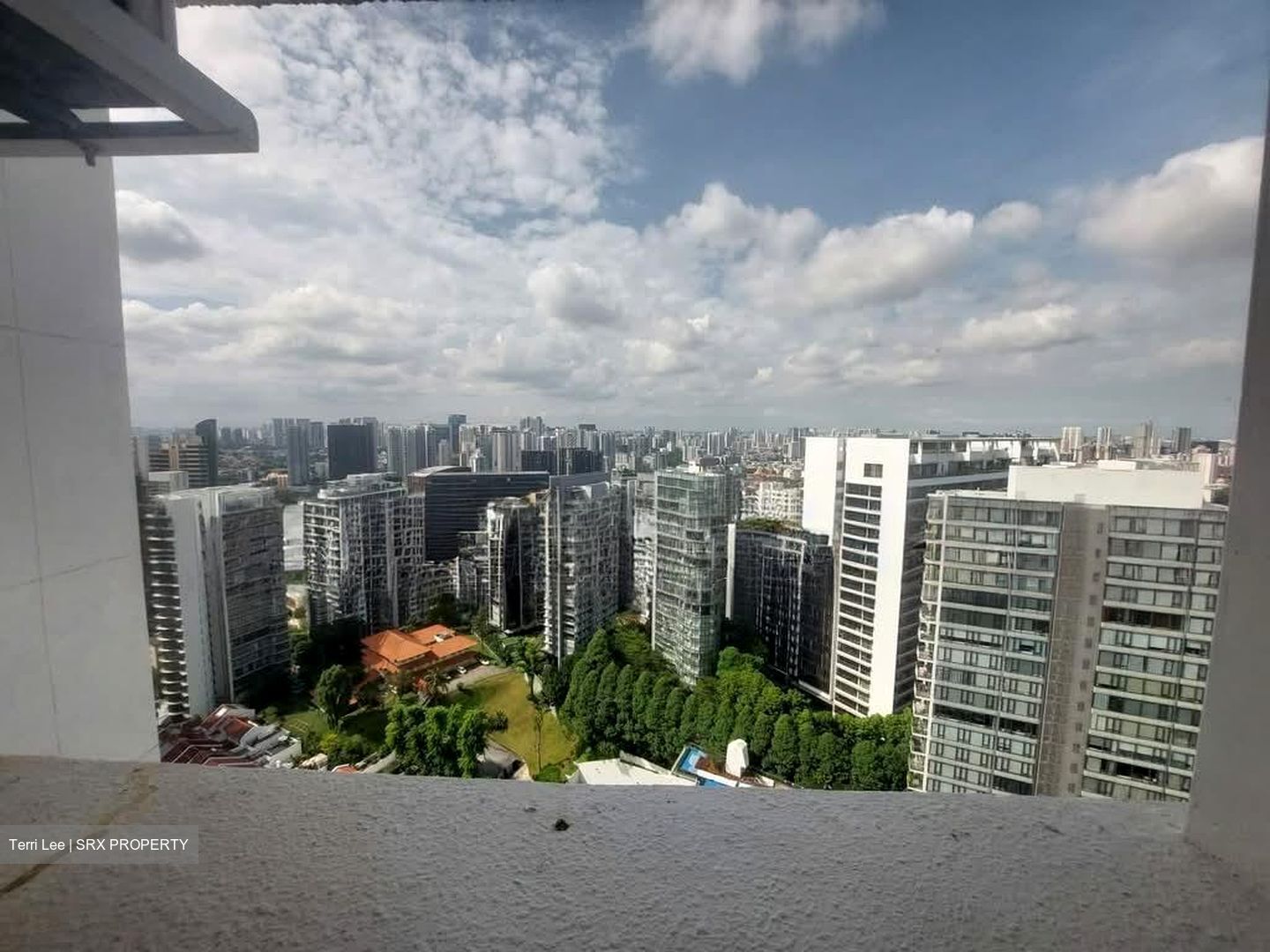 Cairnhill Plaza (D9), Apartment #581231451